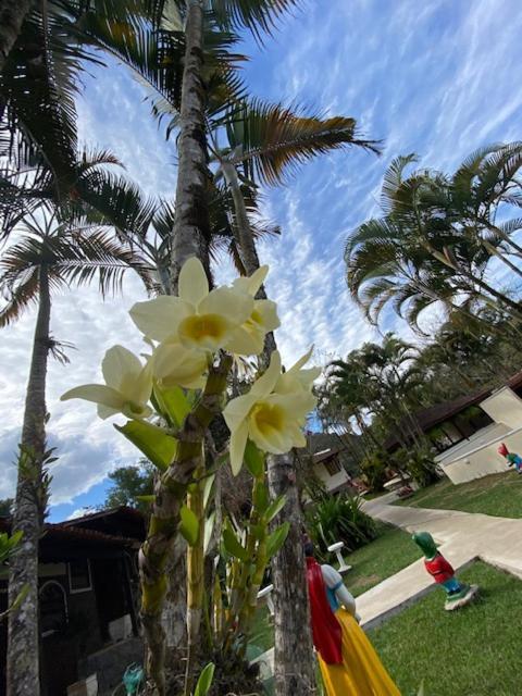 Fazendinha Inn