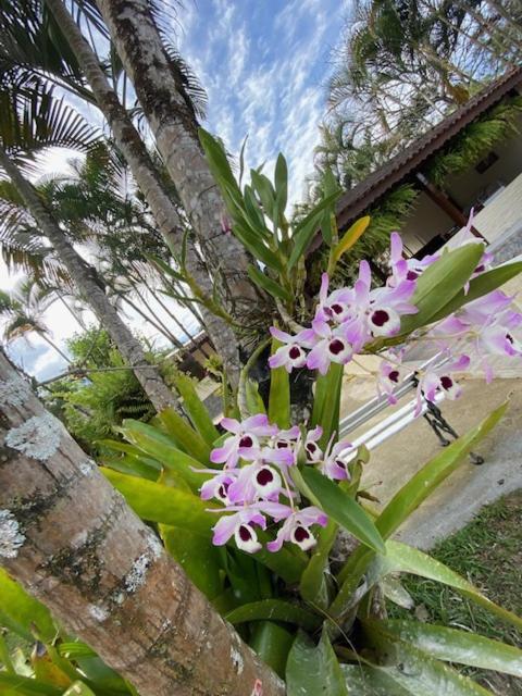 Inn Fazendinha 3*